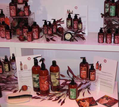 wen-by-chaz-dean-pomegranate-cleansing-conditioner-display