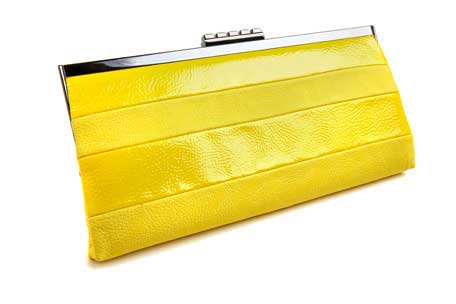 Rachel Roy HSN Collection Stripe Frame Clutch