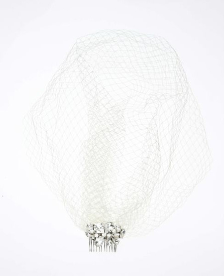 ann-taylor-birdcage-veil