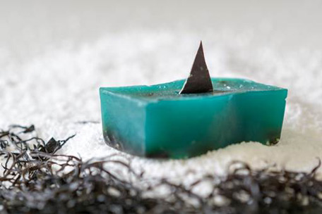 lush-shark-fin-soap