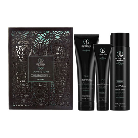 paul-mitchell-awapuhi-wild-ginger-exquisite-repair-holiday-set