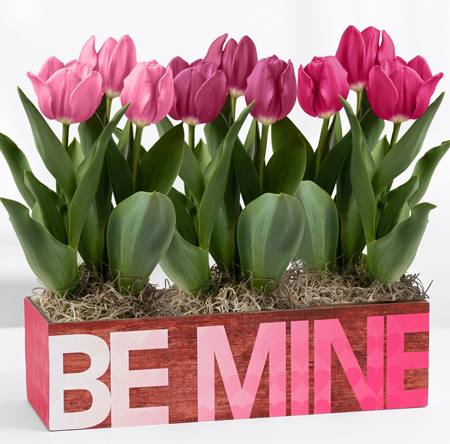 Pro-Flowers-Be-Mine-Ombre-Trio