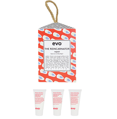 evo-the-reincarnator-repair-tree-hanger-gift