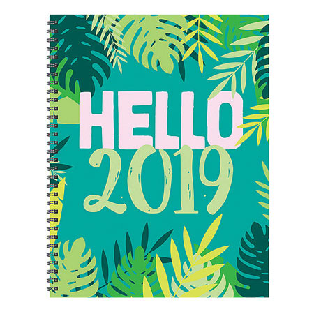 tf-publishing-hello-2019-weekly-monthly-planner
