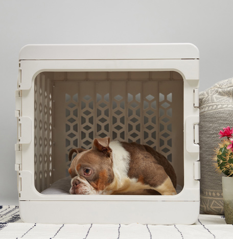 KINDTAIL-pawd-dog-nesting-space