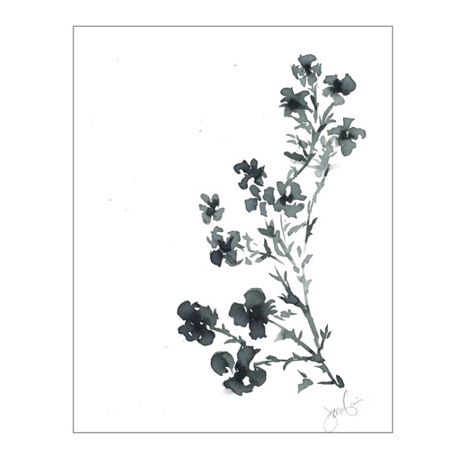 the-magnolia-foundation-watercolor-botanical-print-benefitting-st-jude